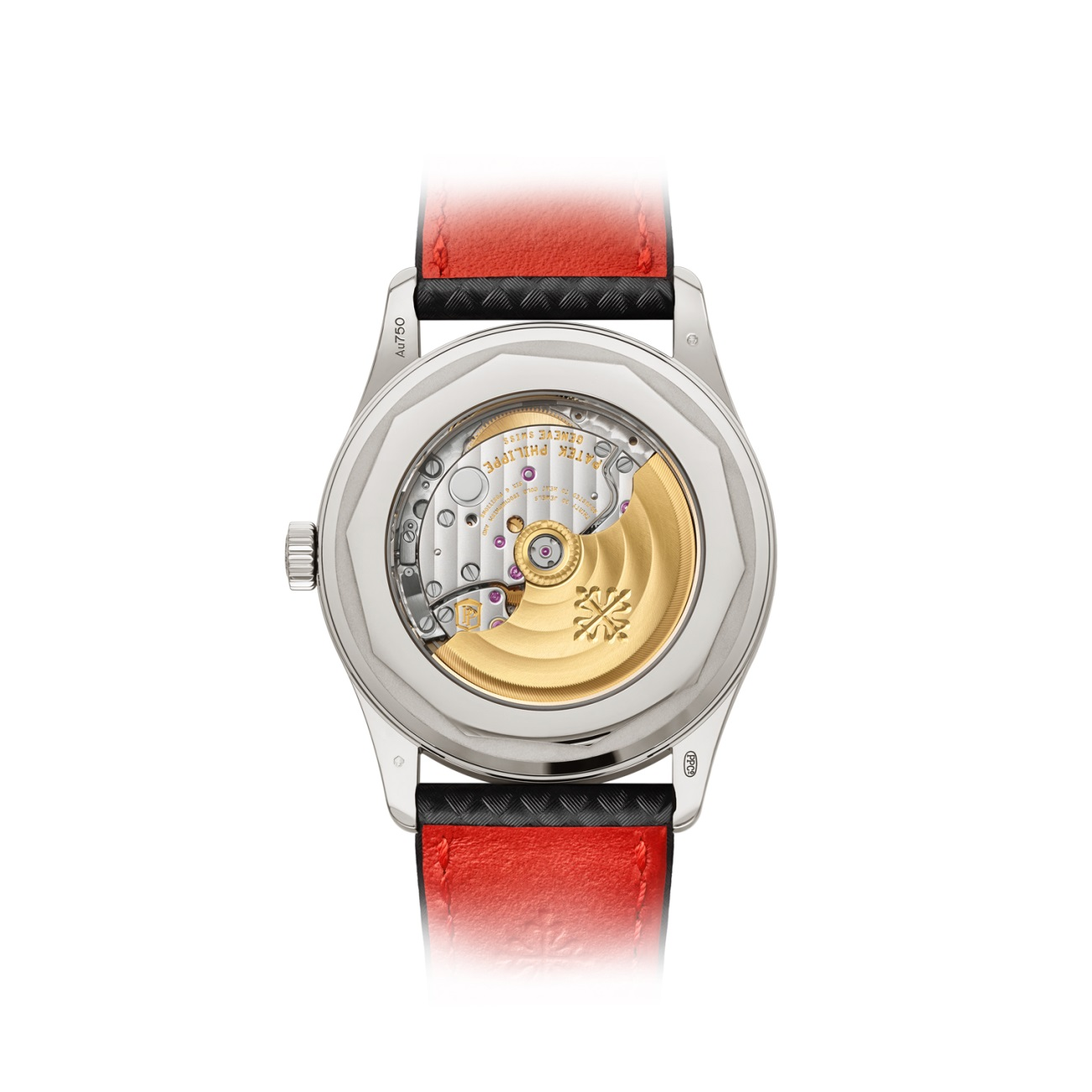 PP 6007G-010 V2