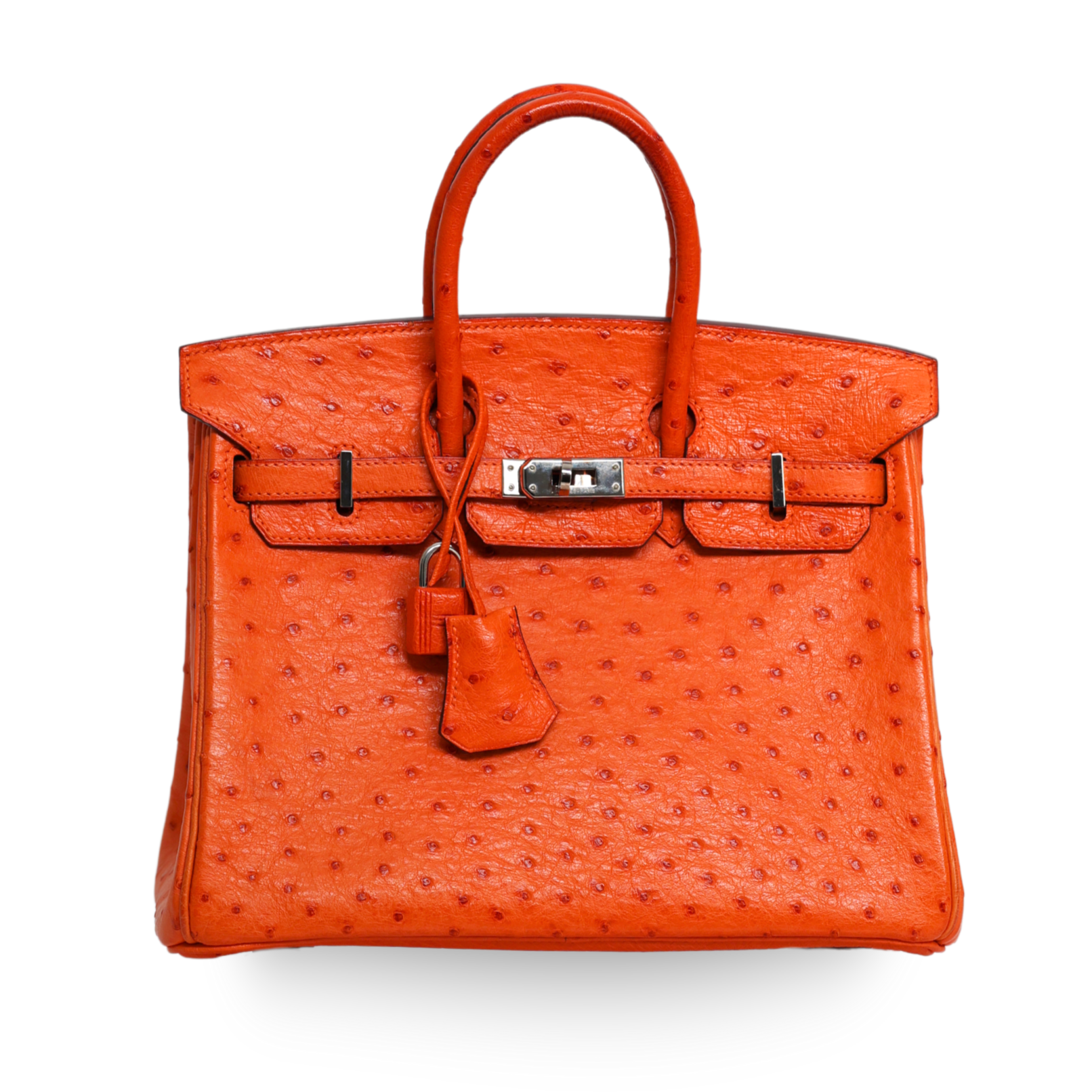 Hermes - Tangerine Ostrich Birkin 25 Palladium Hardware (Pre-Owned)
